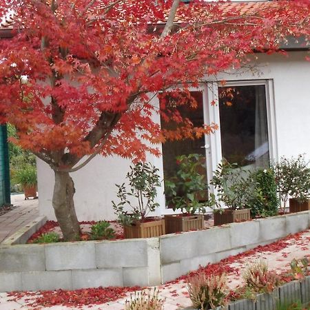 Haus Magnolia 2 Apartment Кандерн Екстериор снимка