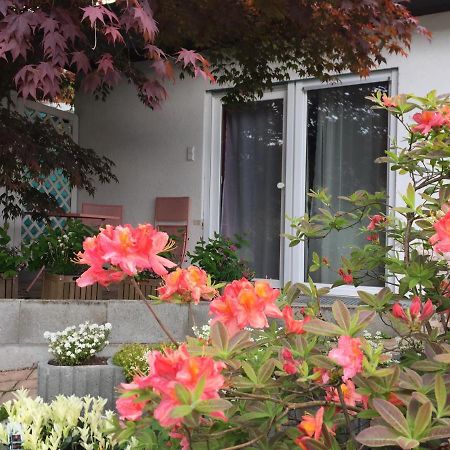 Haus Magnolia 2 Apartment Кандерн Екстериор снимка